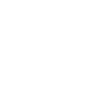 Connect Speech & Language Icon